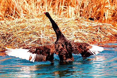 《绘图方块Namco传奇版》即将登陆Switch平台