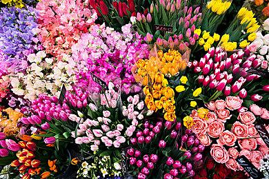 《战锤40K：战争黎明》系列推出周年纪念版 已拥有游戏的玩家可免费升级